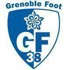 Grenoble U17 队徽